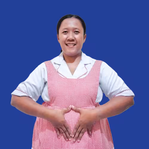 Maid 3 — Indonesian domestic helper